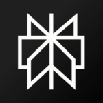 Perplexity AI